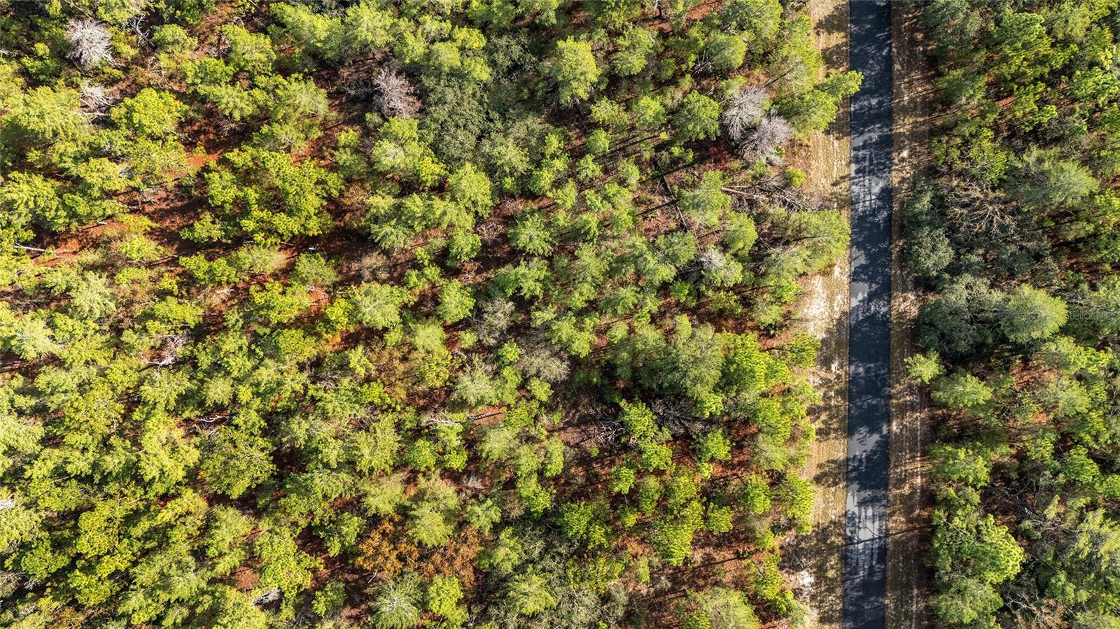 Image 2 of 19 For Sw 177th Street