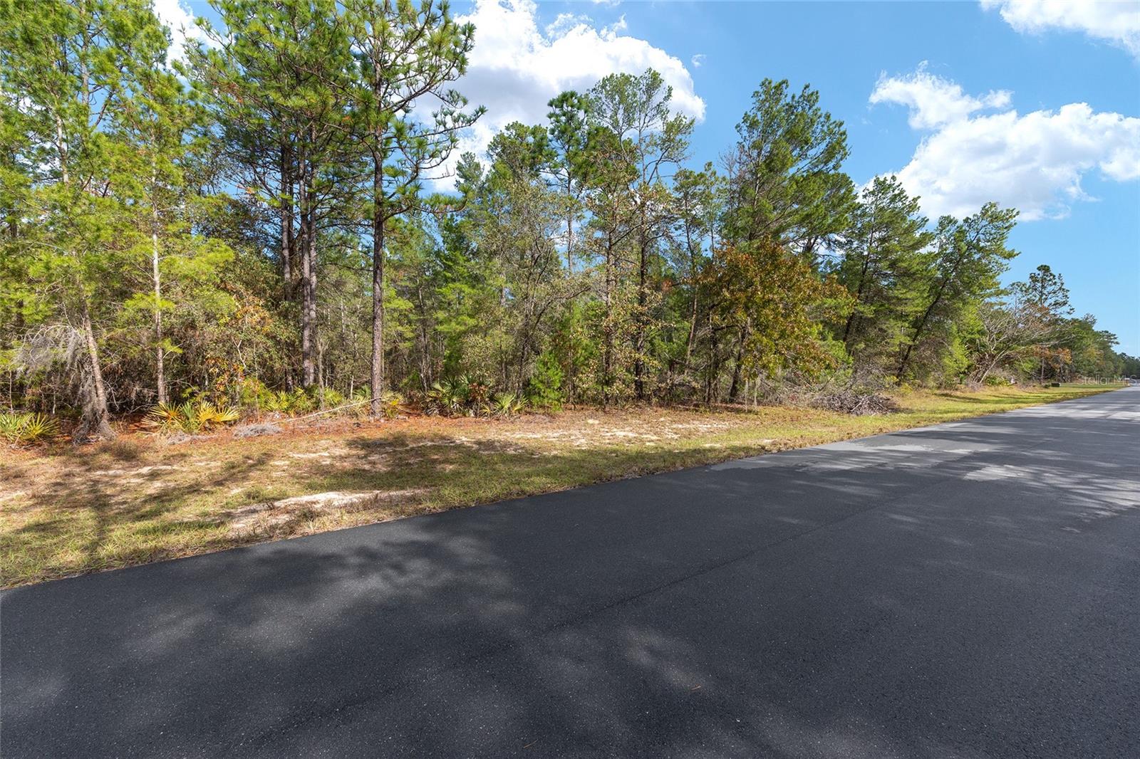 Image 3 of 19 For Sw 177th Street