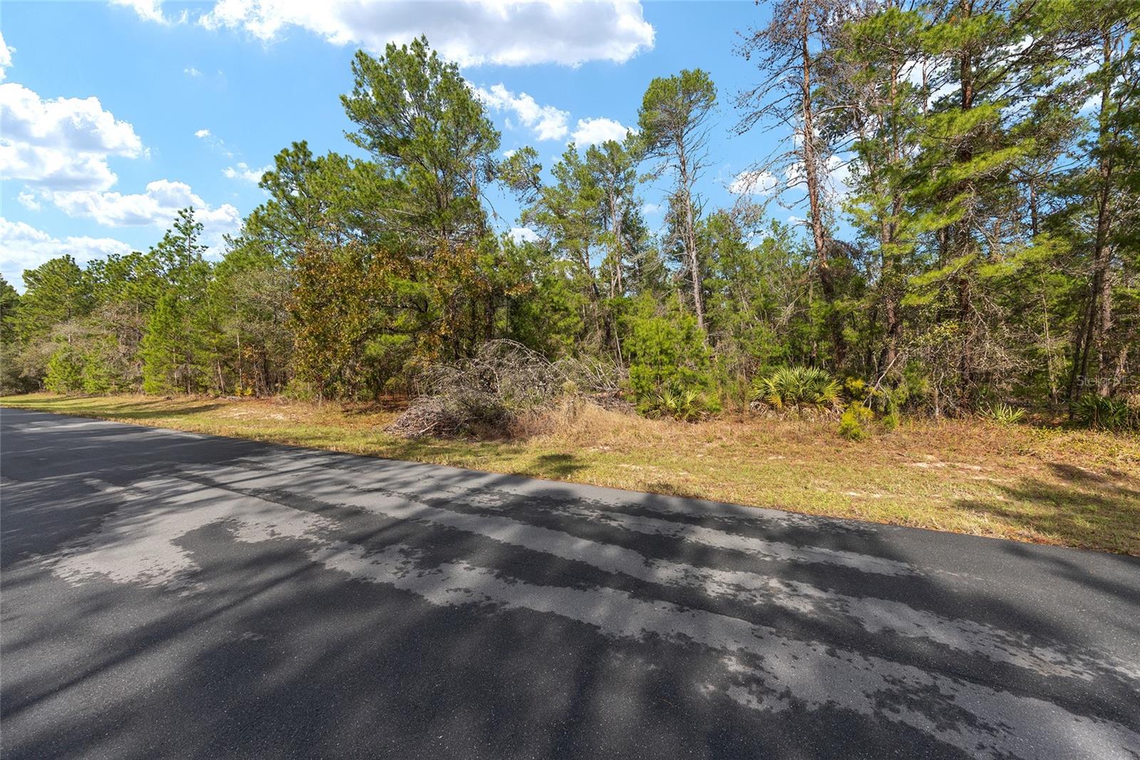 Image 4 of 19 For Sw 177th Street