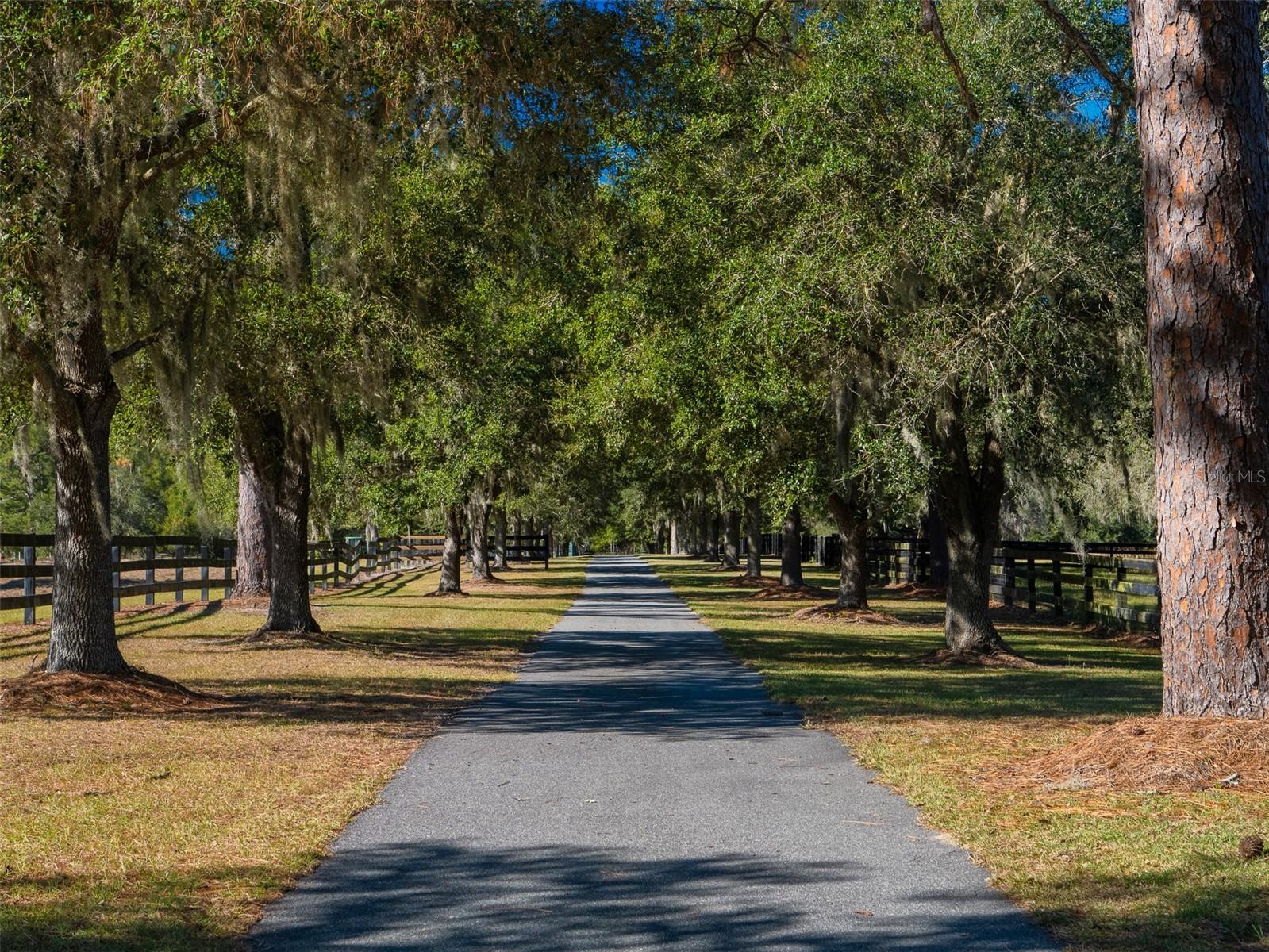 Image 4 of 29 For 9710 160th Avenue