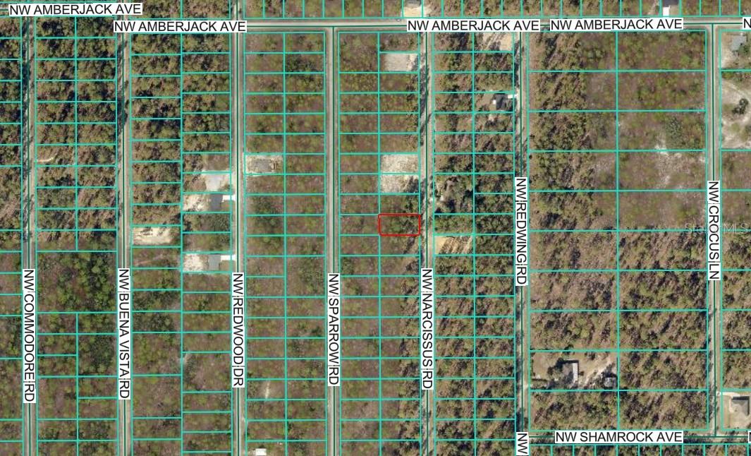 Image 3 of 7 For Tbd Narcissus Road