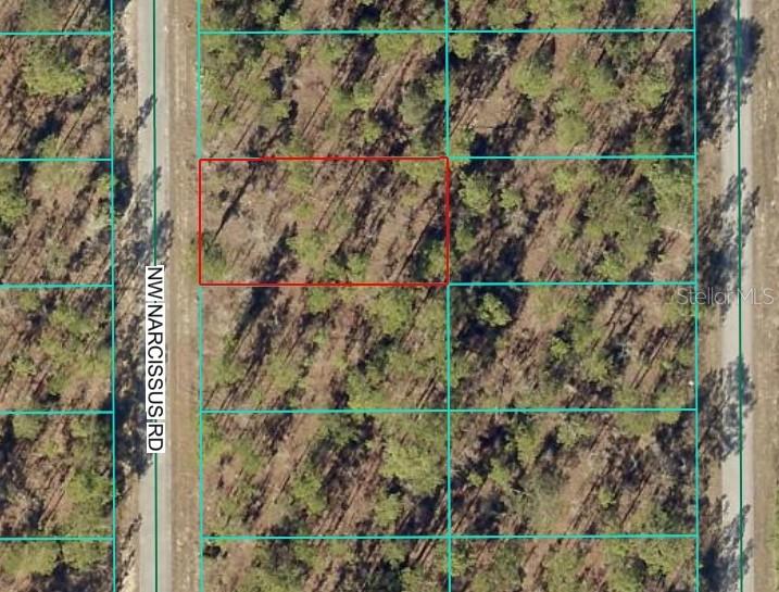 Details for Tbd1 Narcissus Road, DUNNELLON, FL 34431
