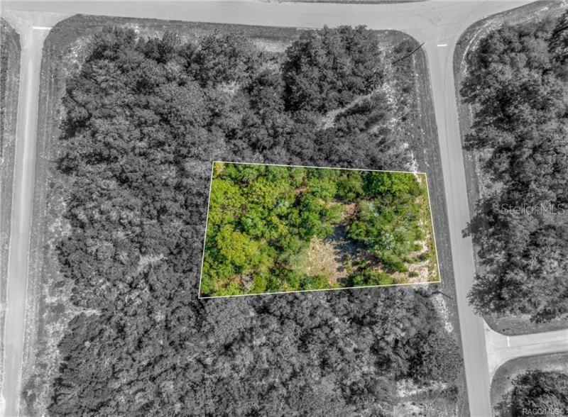 Image 2 of 2 For 11114 Haitian Drive