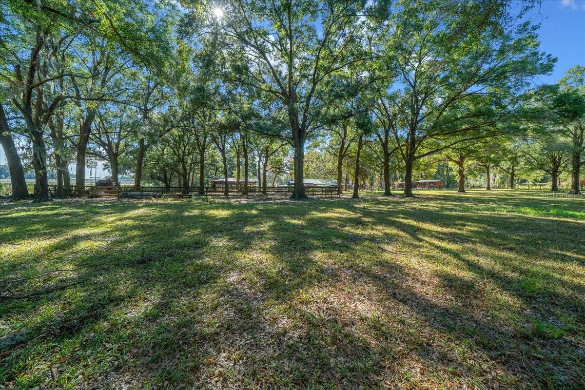 Image 38 of 70 For 7025 5th Lane