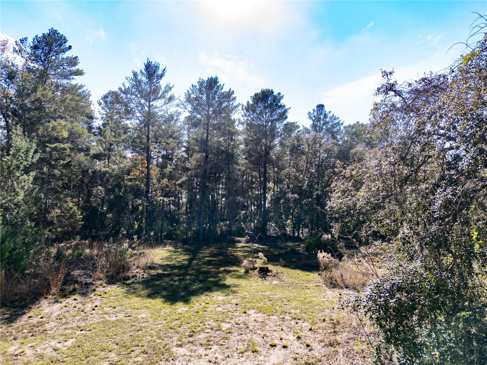 Image 14 of 24 For 18129 200th Street