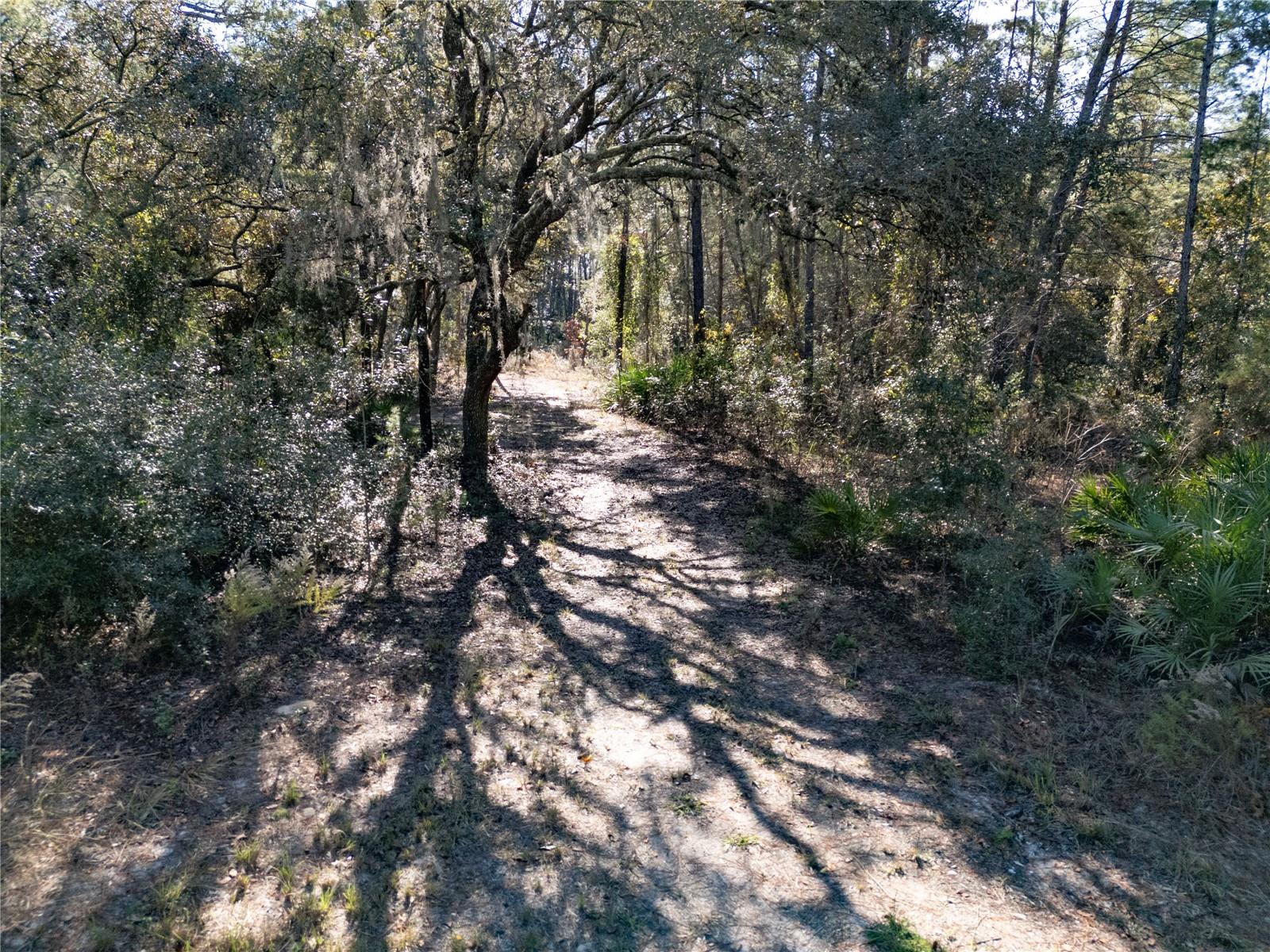 Image 15 of 24 For 18129 200th Street