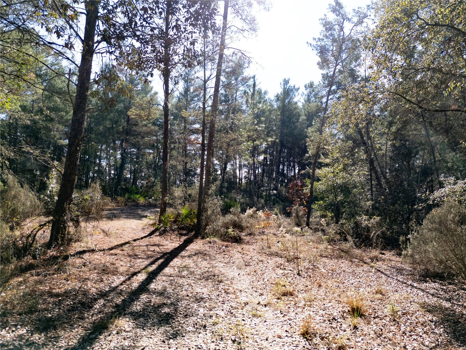 Image 18 of 24 For 18129 200th Street