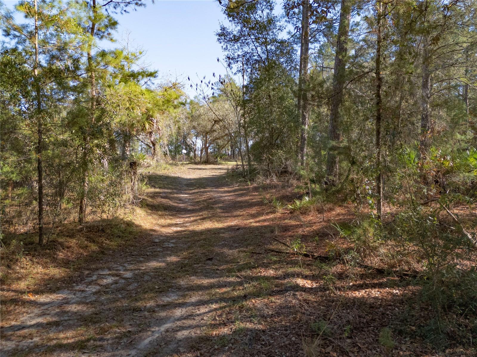 Image 7 of 24 For 18129 200th Street