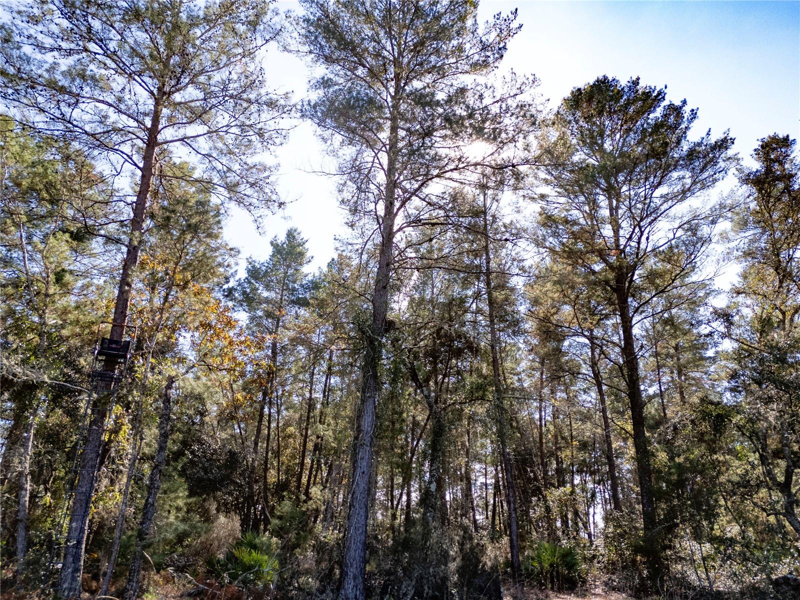 Image 9 of 24 For 18129 200th Street