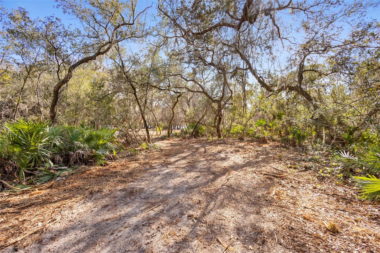 Image 15 of 33 For Tbd 256th Avenue