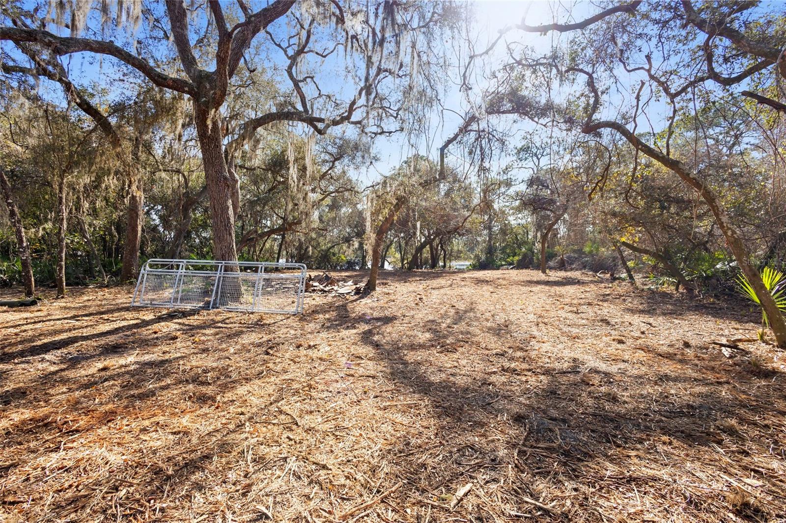 Image 22 of 33 For Tbd 256th Avenue