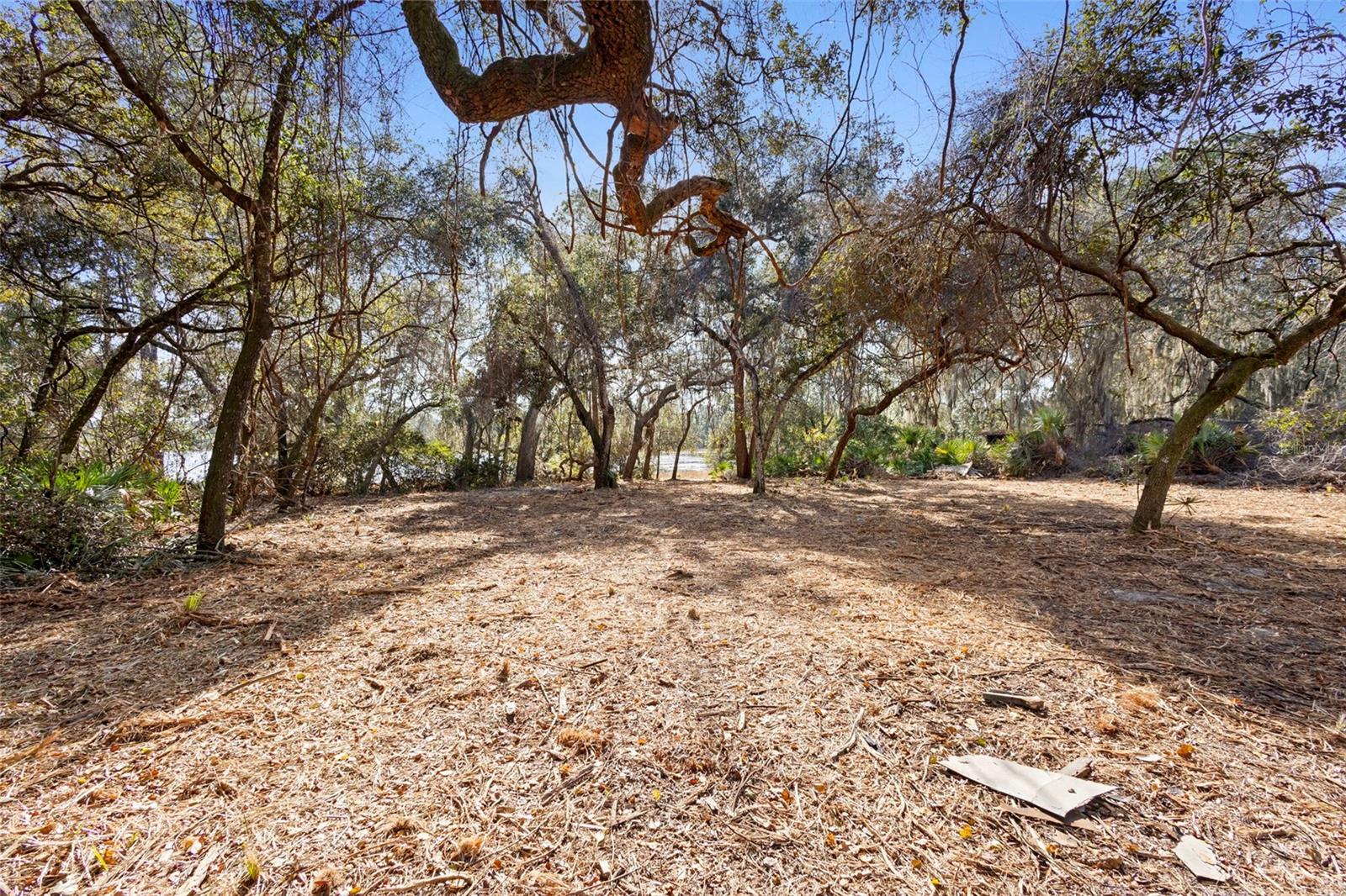 Image 24 of 33 For Tbd 256th Avenue