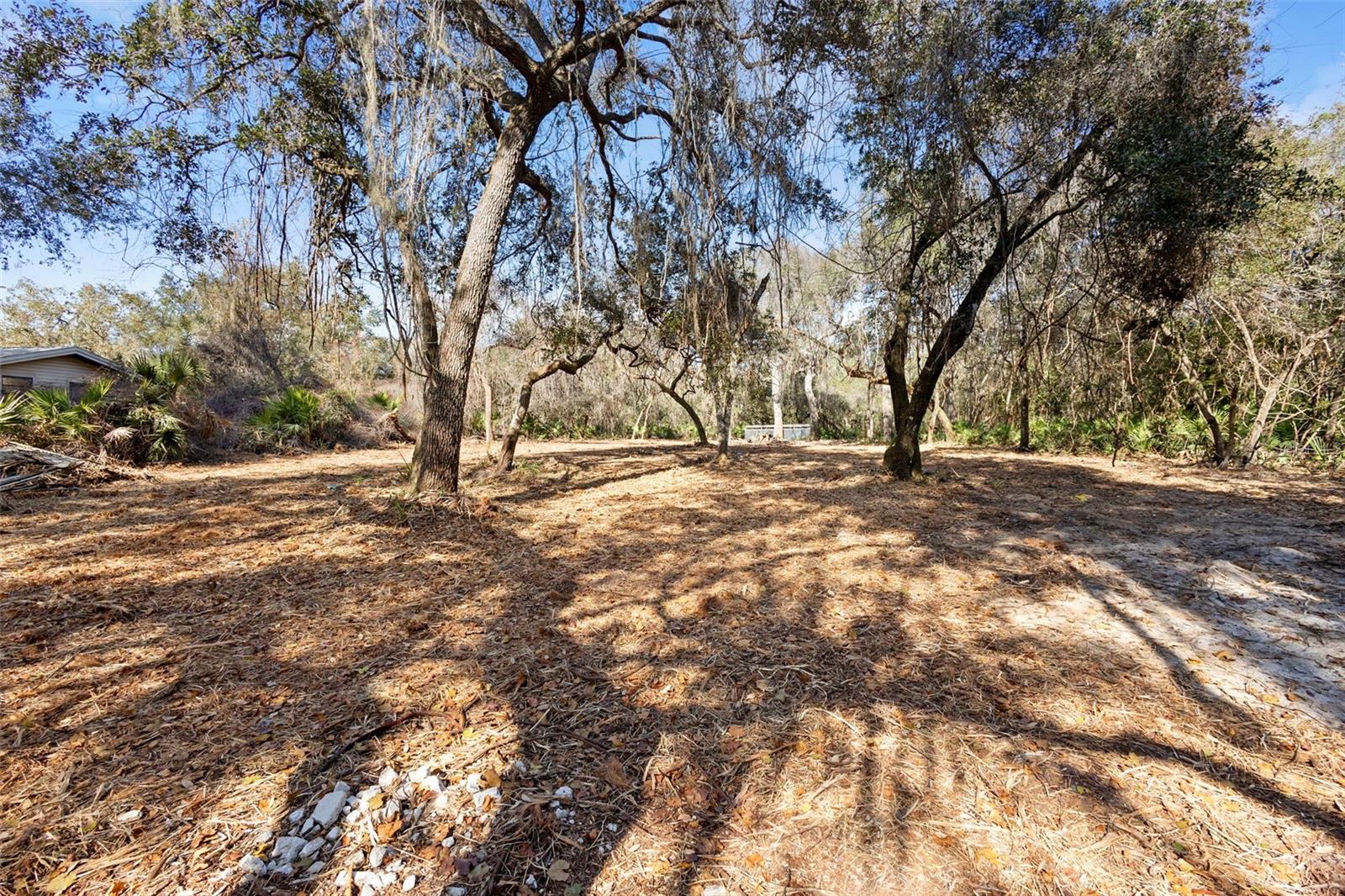 Image 26 of 33 For Tbd 256th Avenue