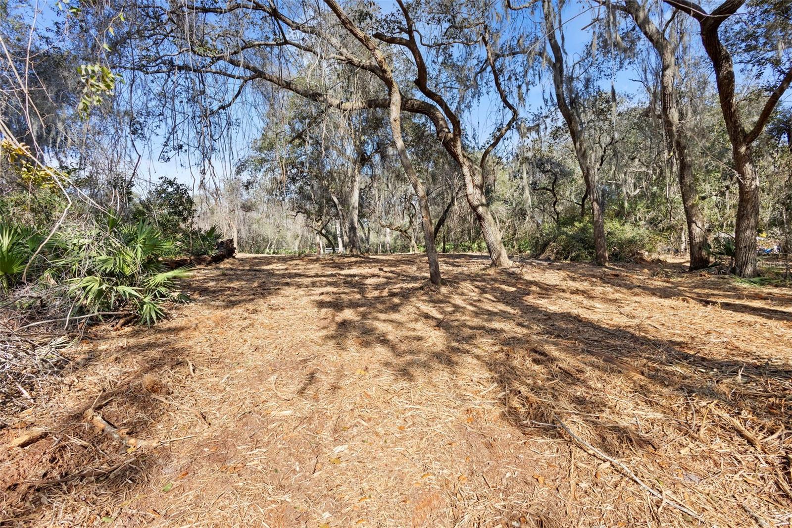 Image 7 of 33 For Tbd 256th Avenue