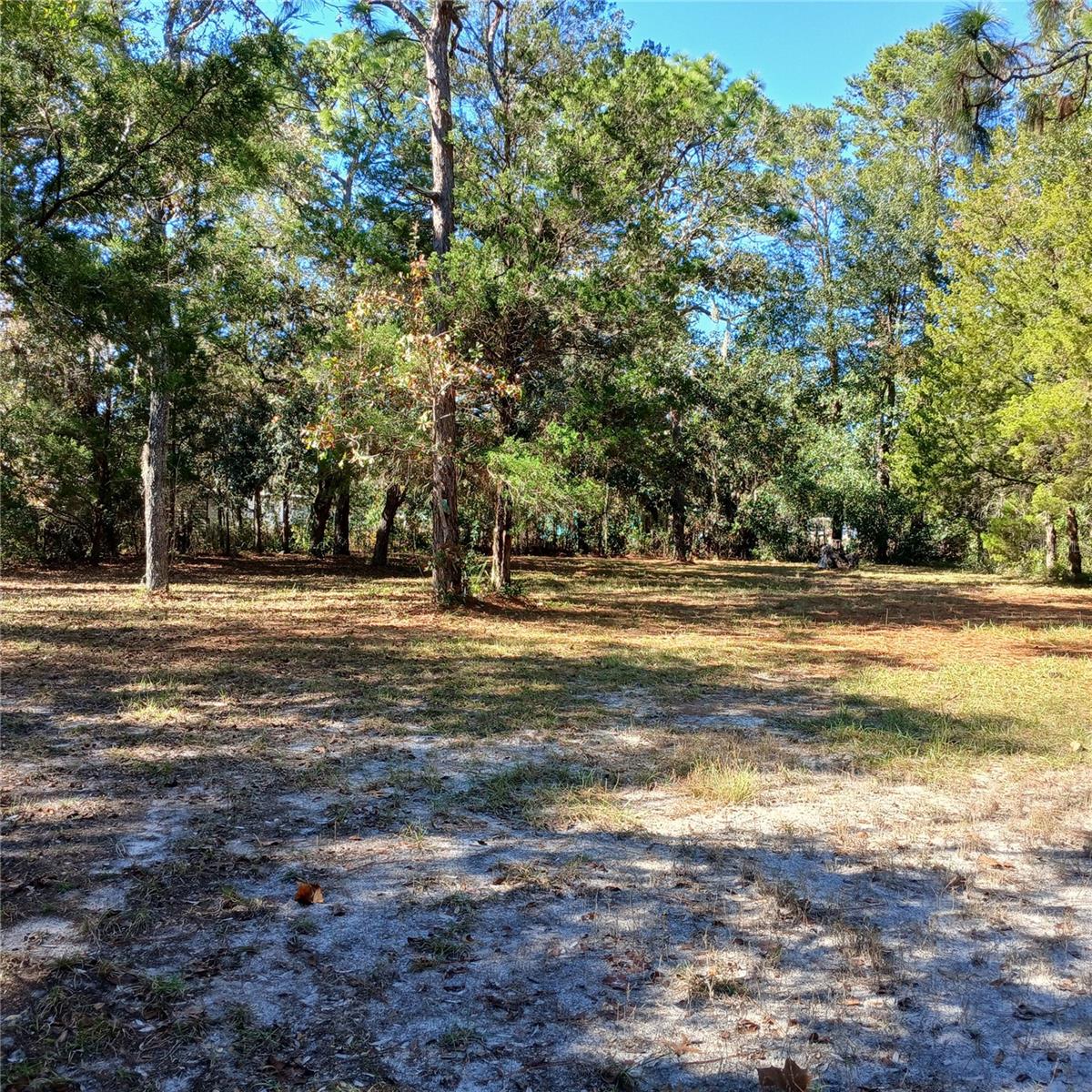 Image 13 of 28 For 7050 Sonata Avenue