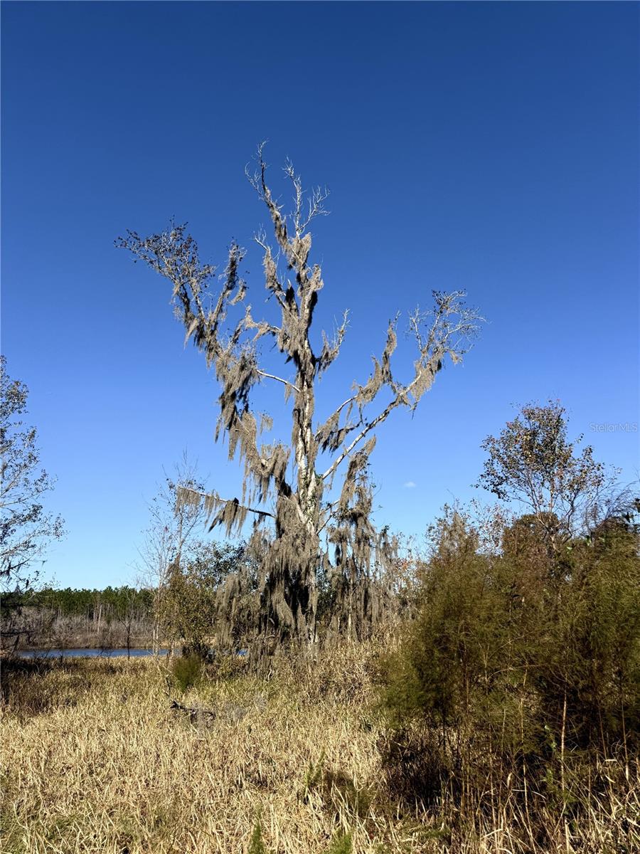 Image 8 of 14 For 110th Avenue