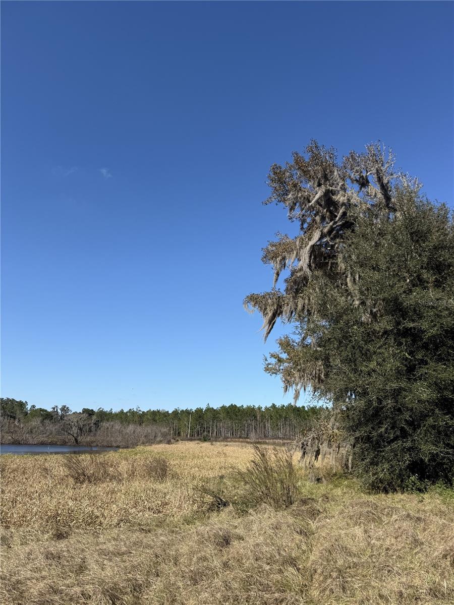 Image 9 of 14 For 110th Avenue