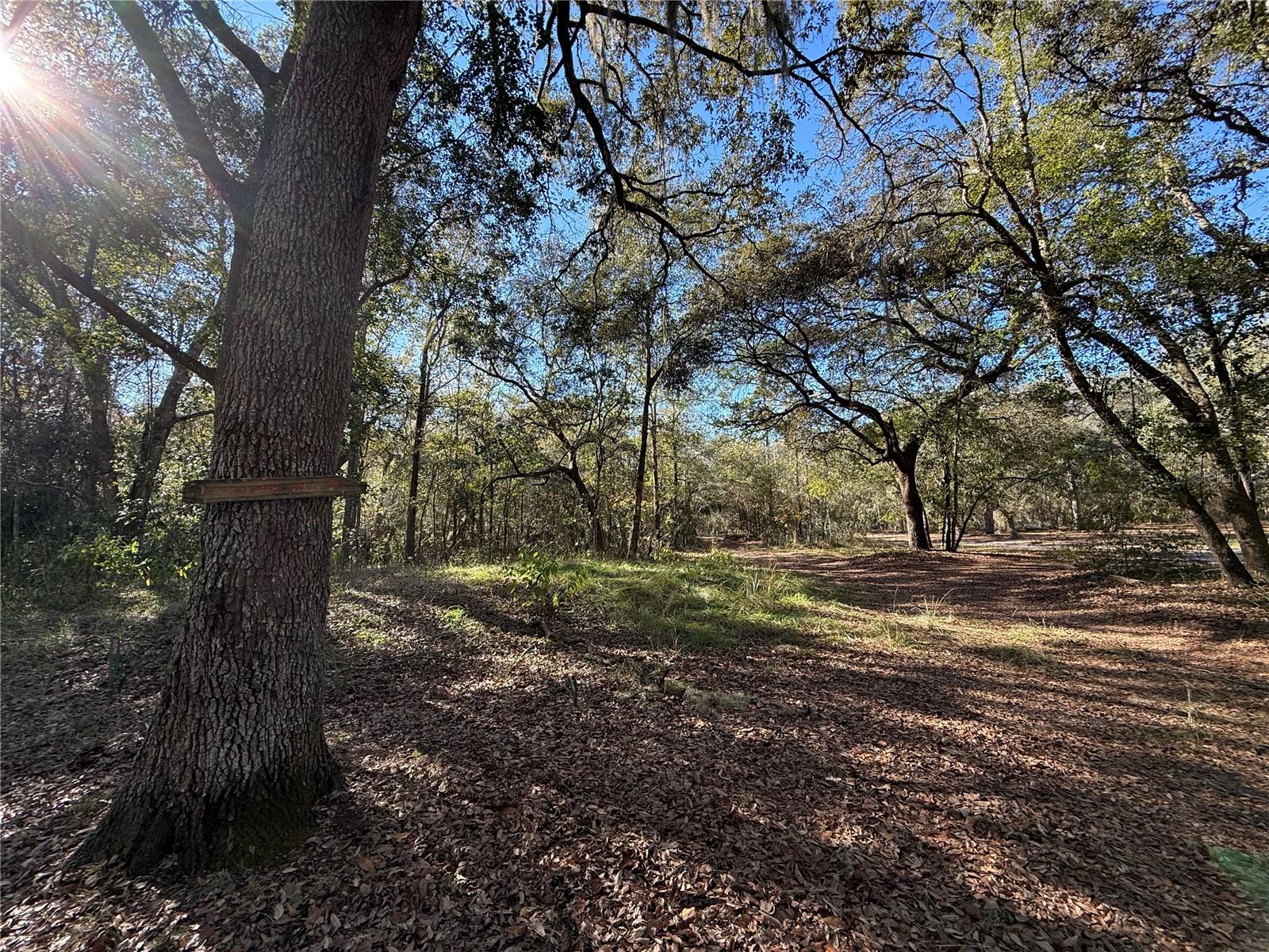 Image 8 of 31 For 132 Pond Side Trail