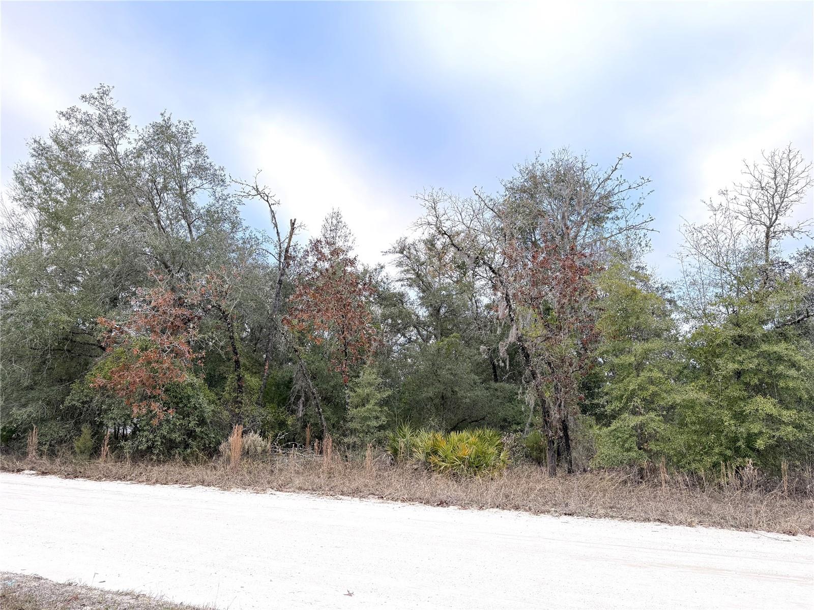 Image 4 of 5 For 0 85th Street