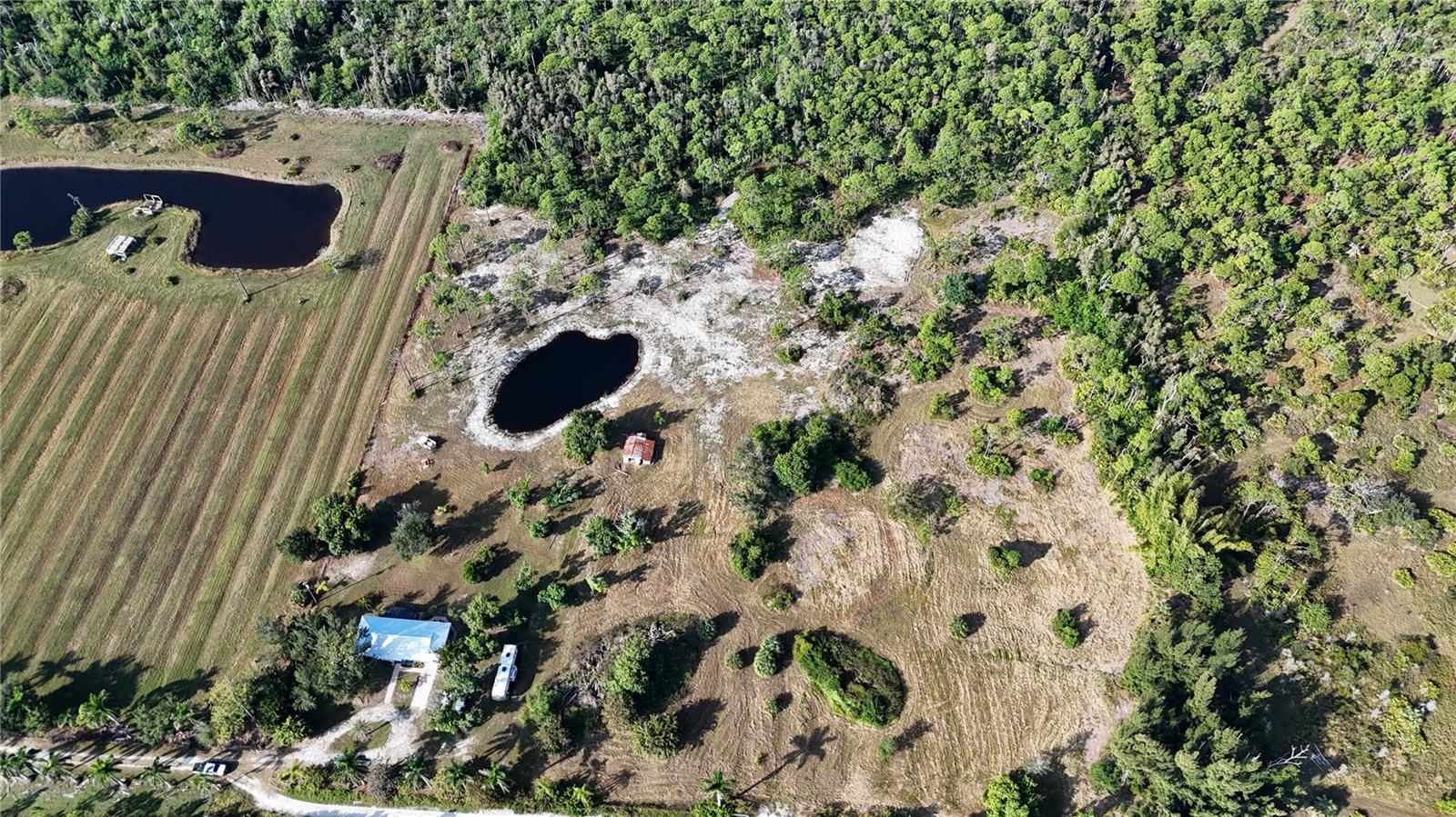 Image 42 of 74 For 4501 Royal Palm Ranch Drive