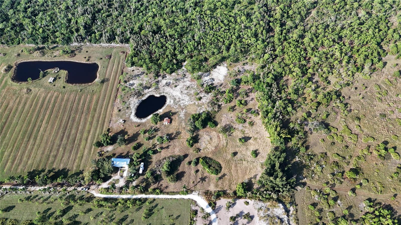 Image 43 of 74 For 4501 Royal Palm Ranch Drive