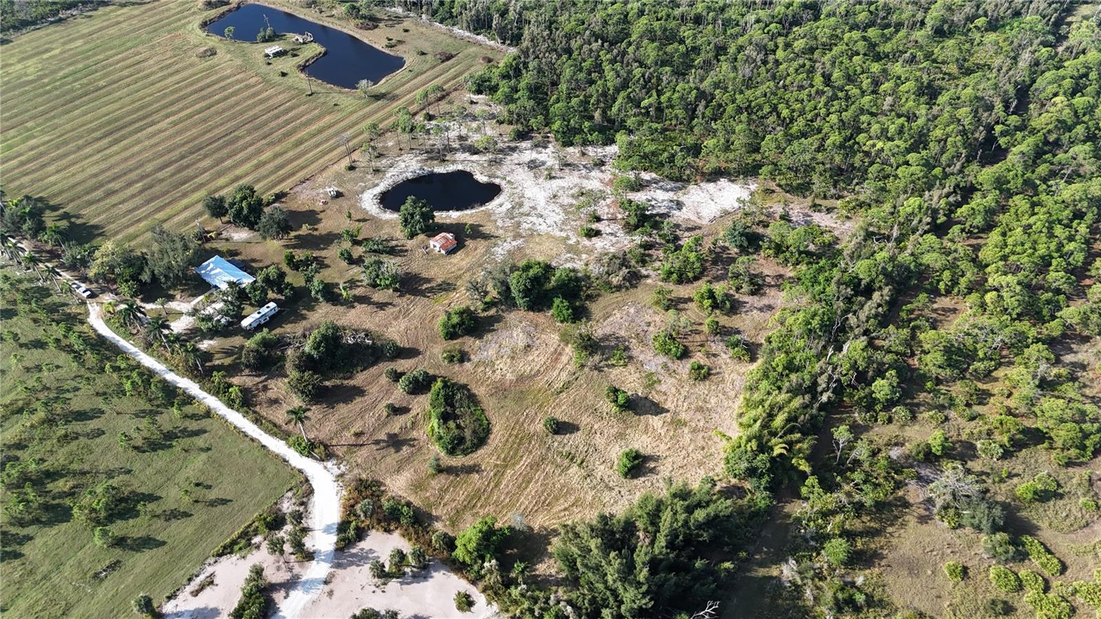 Image 44 of 74 For 4501 Royal Palm Ranch Drive