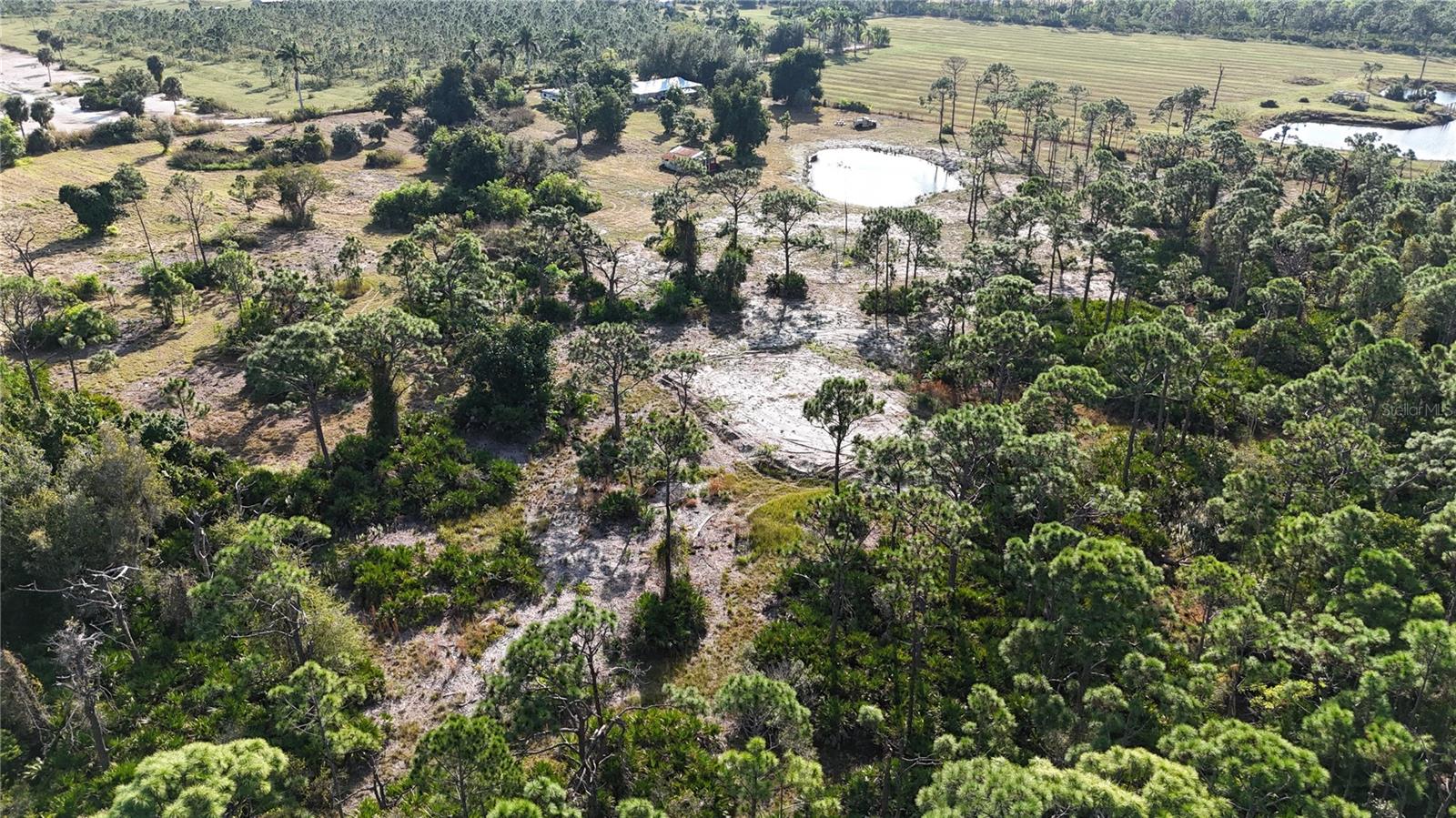 Image 45 of 74 For 4501 Royal Palm Ranch Drive