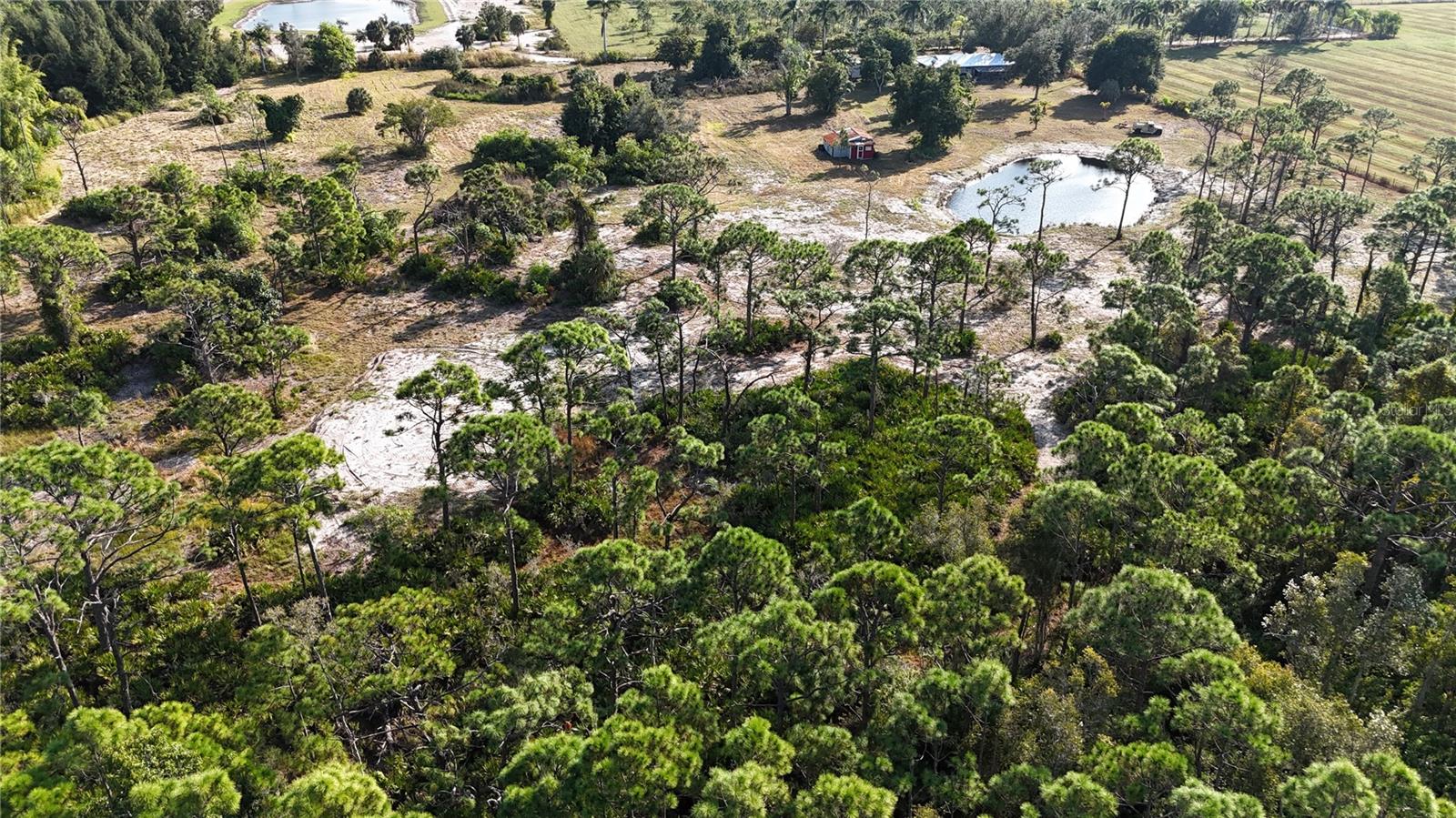 Image 46 of 74 For 4501 Royal Palm Ranch Drive