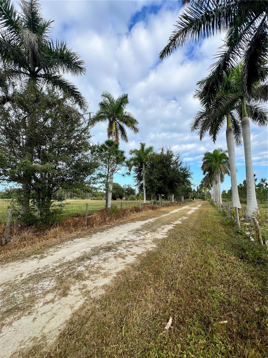 Image 62 of 74 For 4501 Royal Palm Ranch Drive