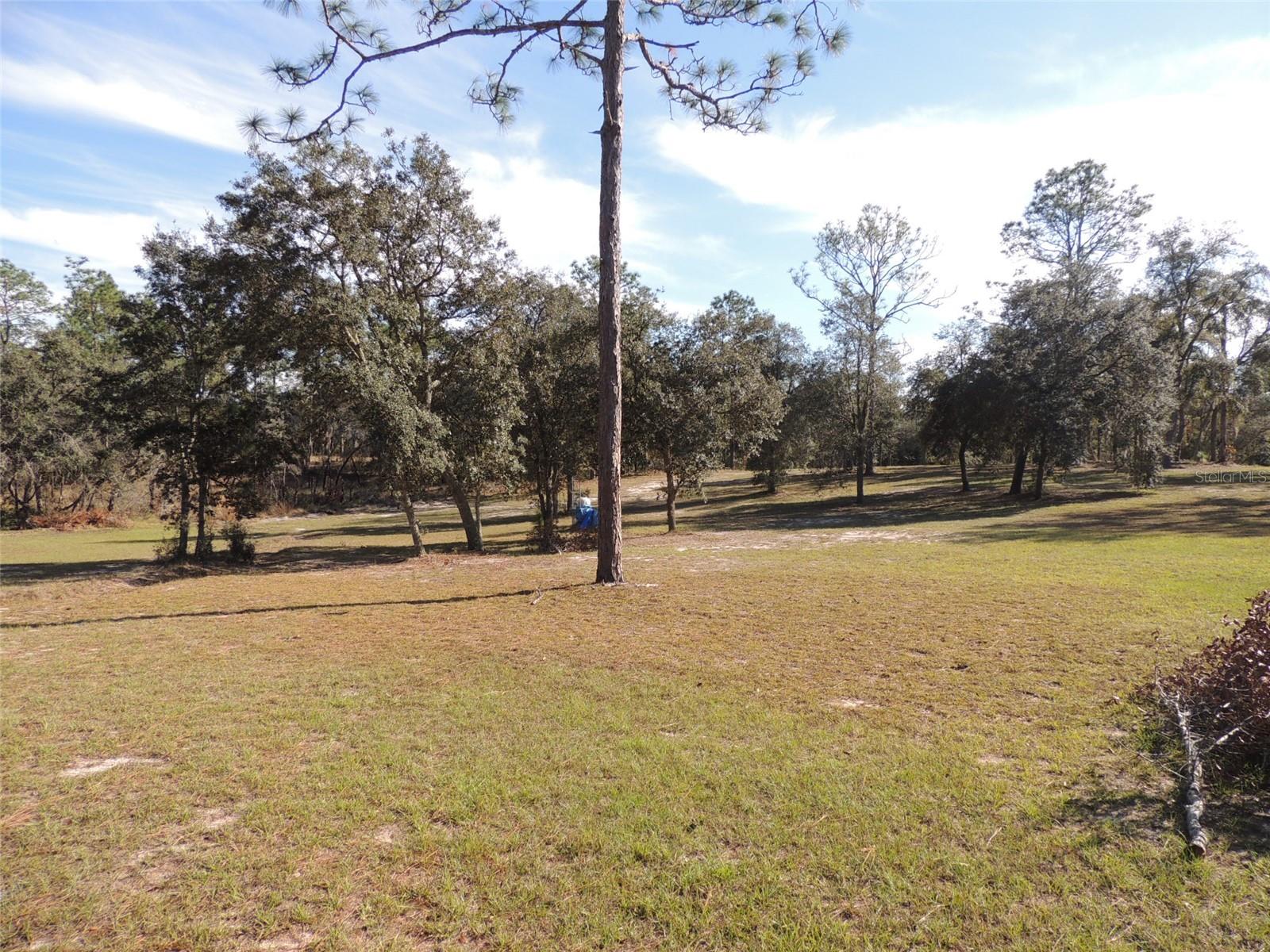 Image 5 of 25 For 14671 5th Place