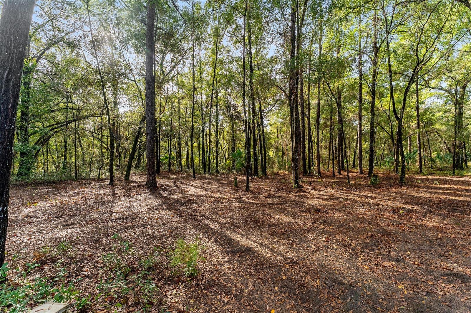 Image 62 of 81 For 1520 Redding