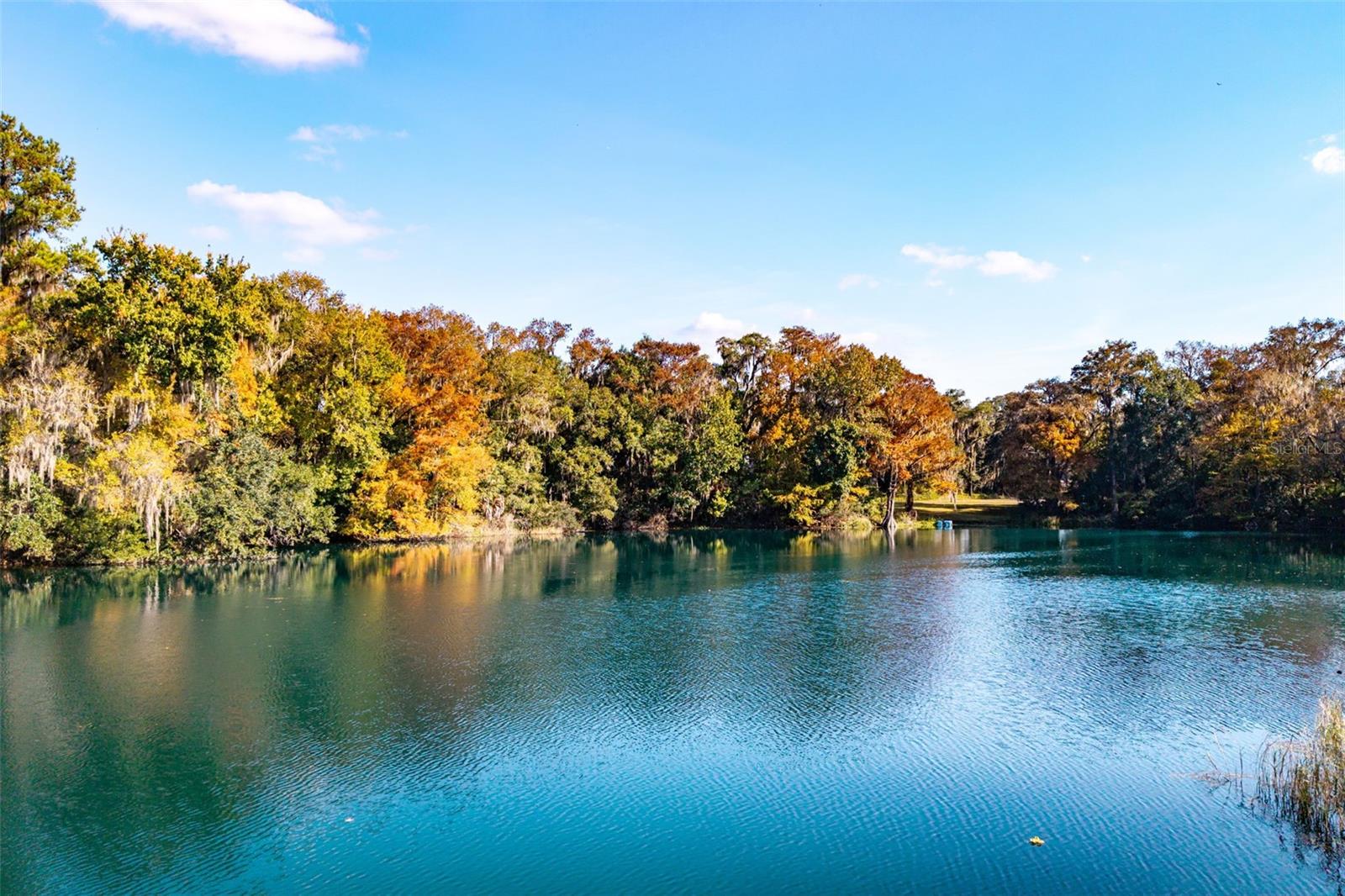 Image 36 of 70 For 11685 Blue Cove Drive