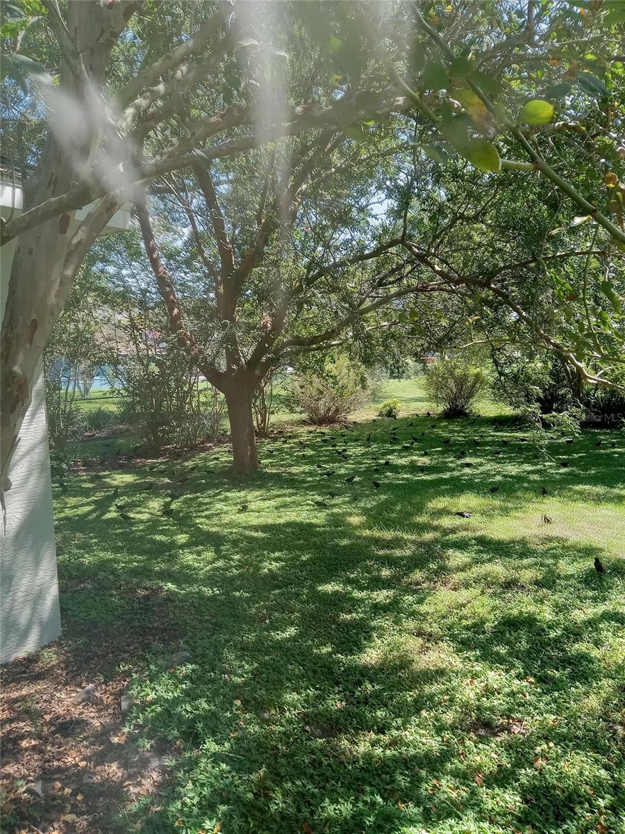 Image 40 of 42 For 3061 49th Avenue