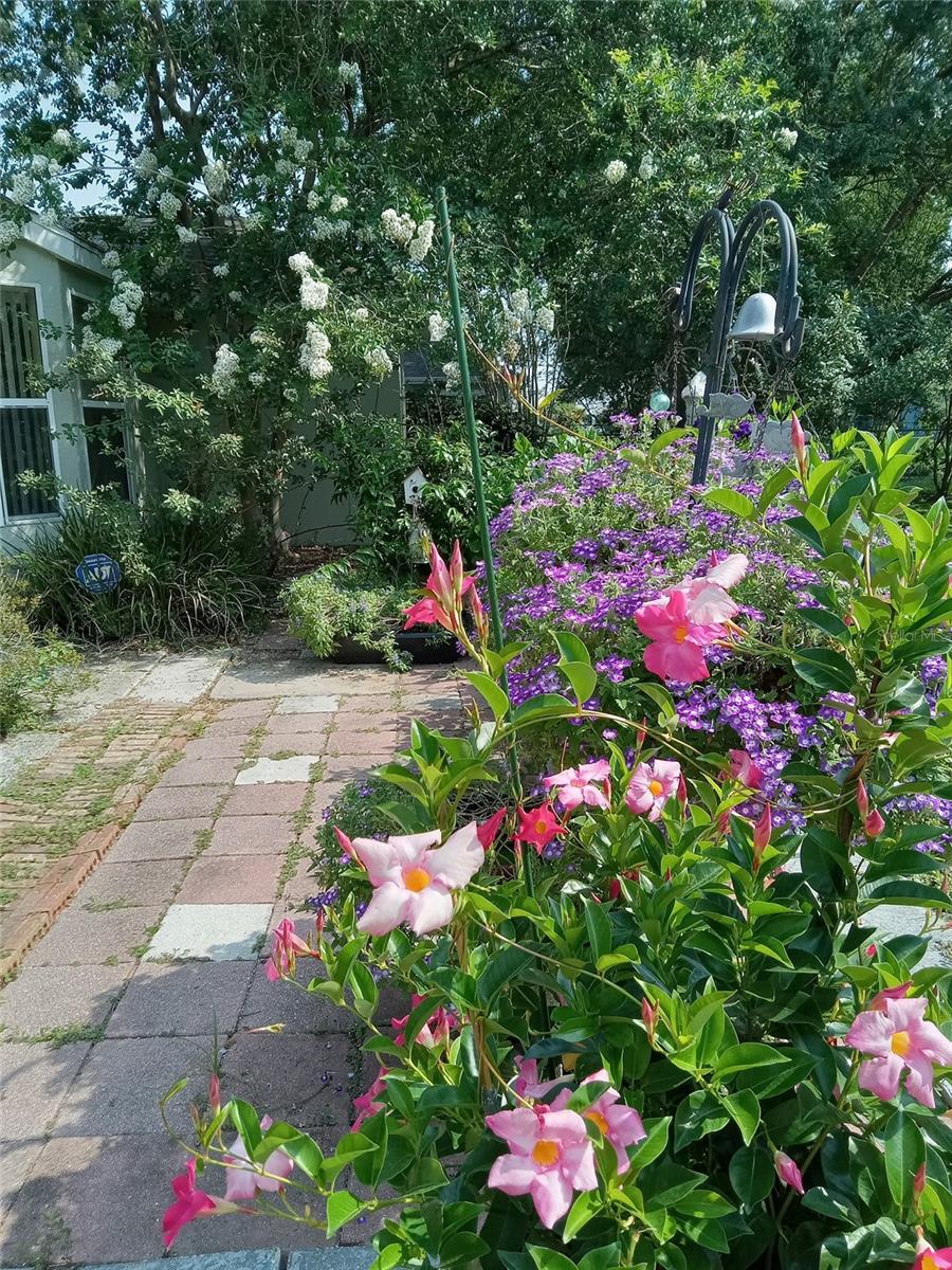 Image 42 of 42 For 3061 49th Avenue