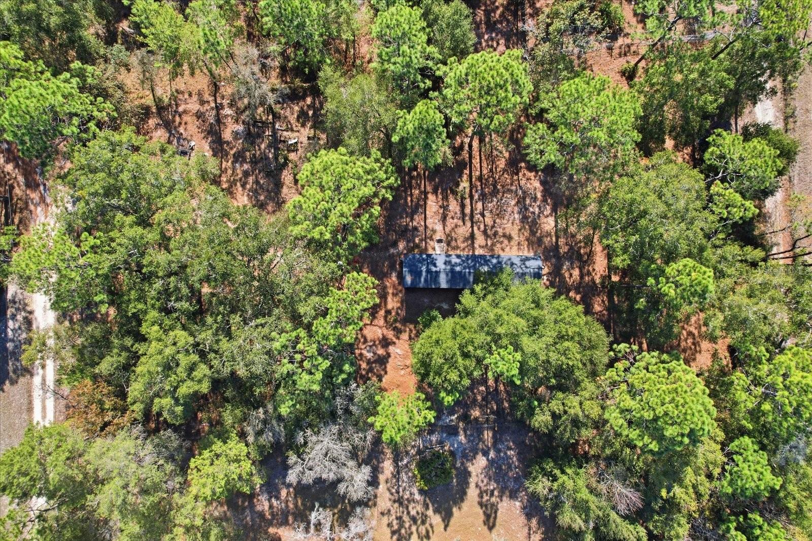 Image 41 of 48 For 4638 Ellen Point