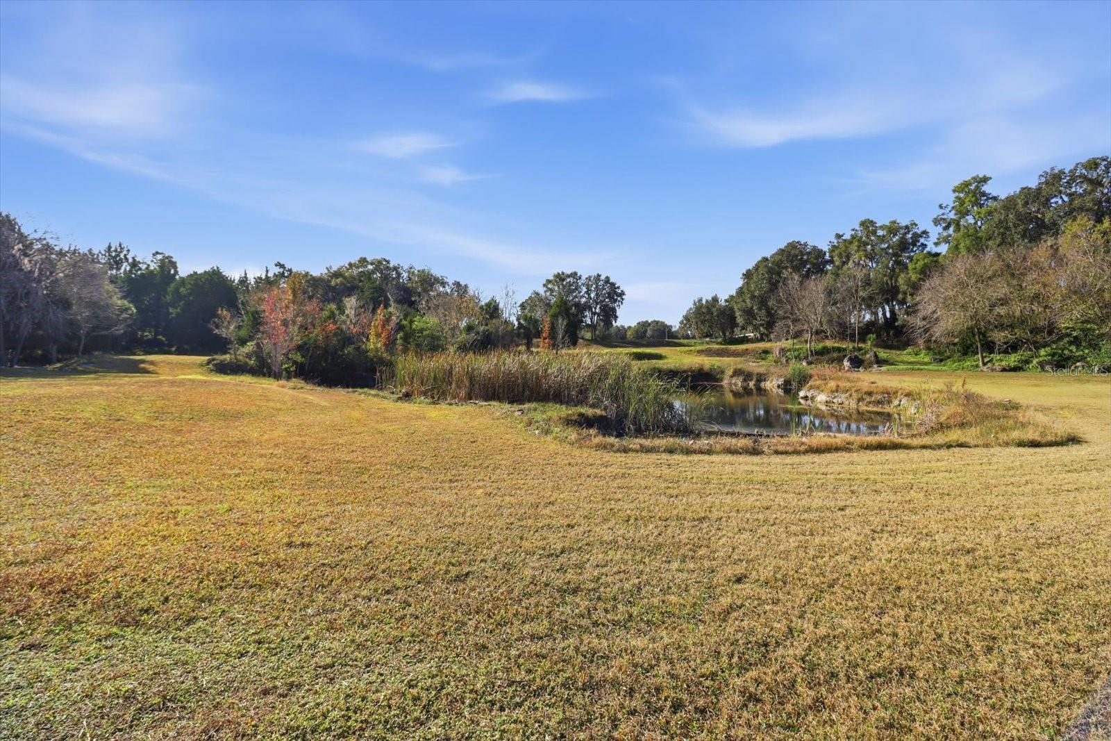 Image 24 of 42 For 8800 Steed Terrace