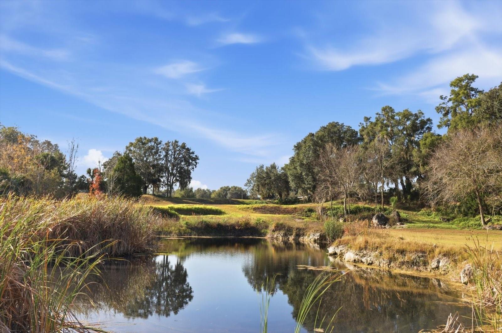 Image 25 of 42 For 8800 Steed Terrace