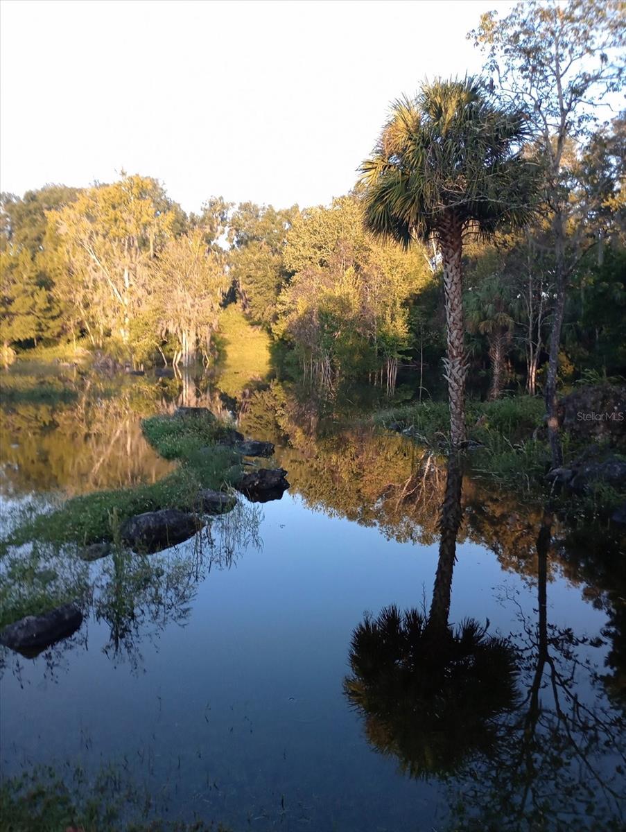 Image 26 of 42 For 8800 Steed Terrace