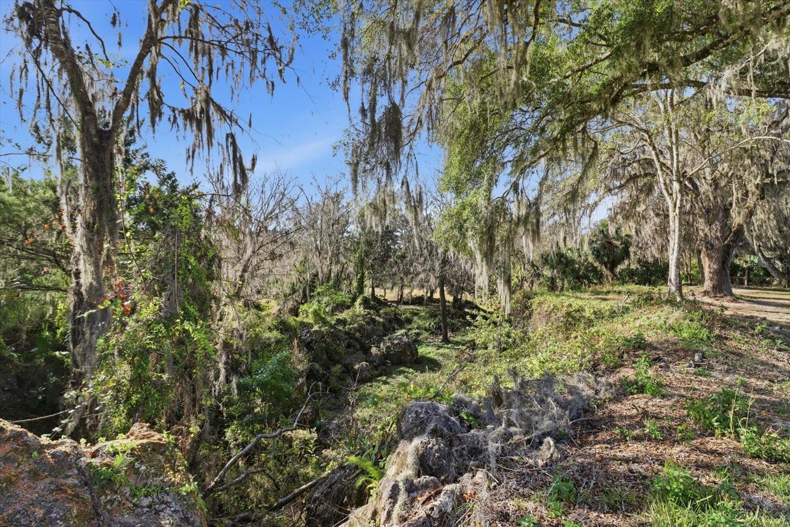 Image 31 of 42 For 8800 Steed Terrace