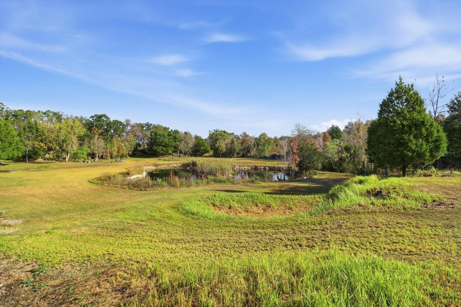 Image 11 of 42 For 8792 Steed Terrace