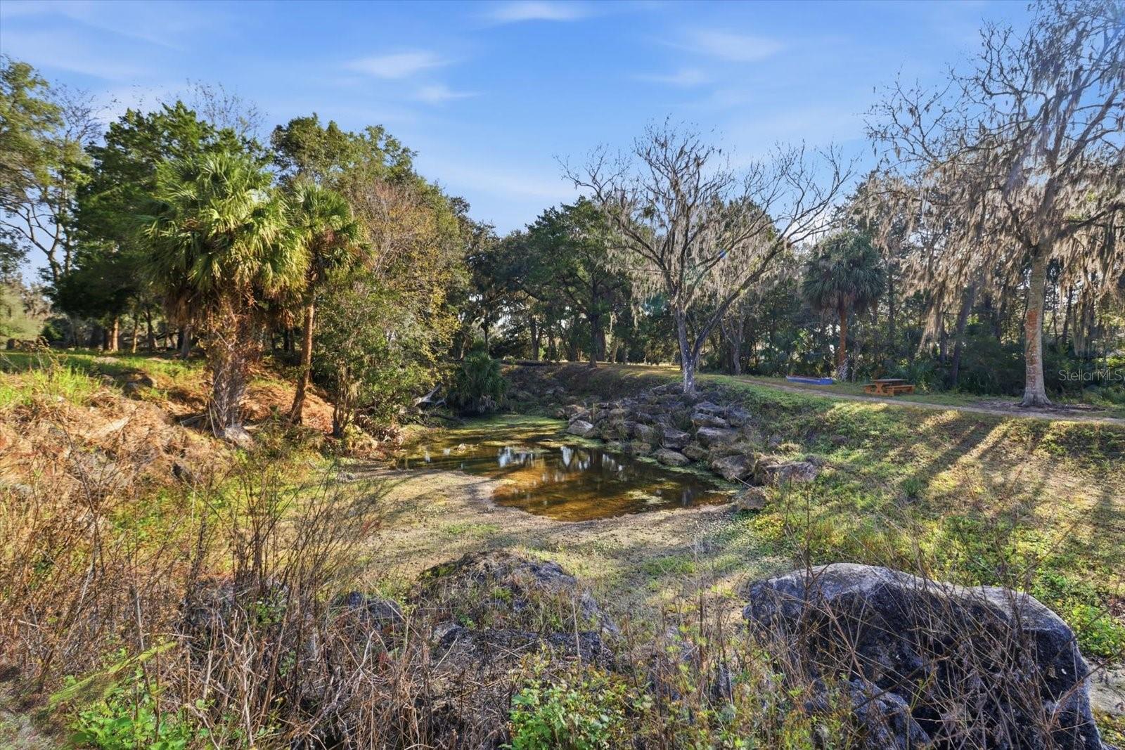 Image 17 of 42 For 8792 Steed Terrace