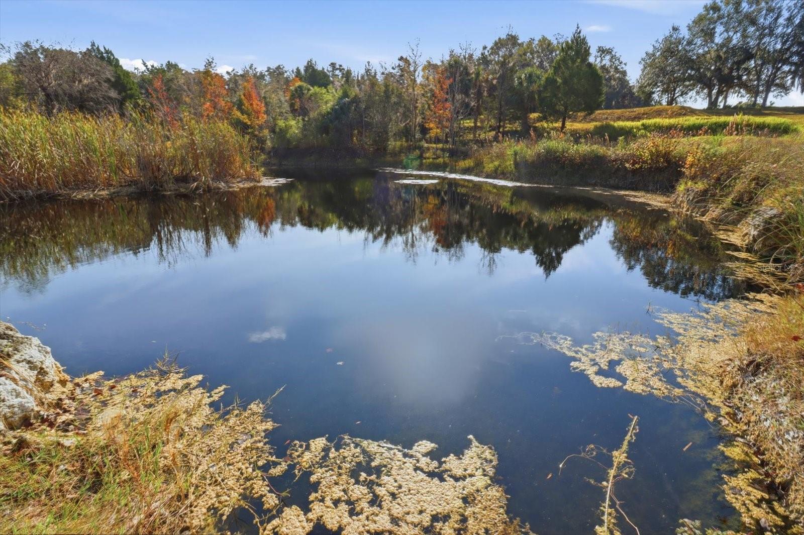 Image 27 of 42 For 8792 Steed Terrace