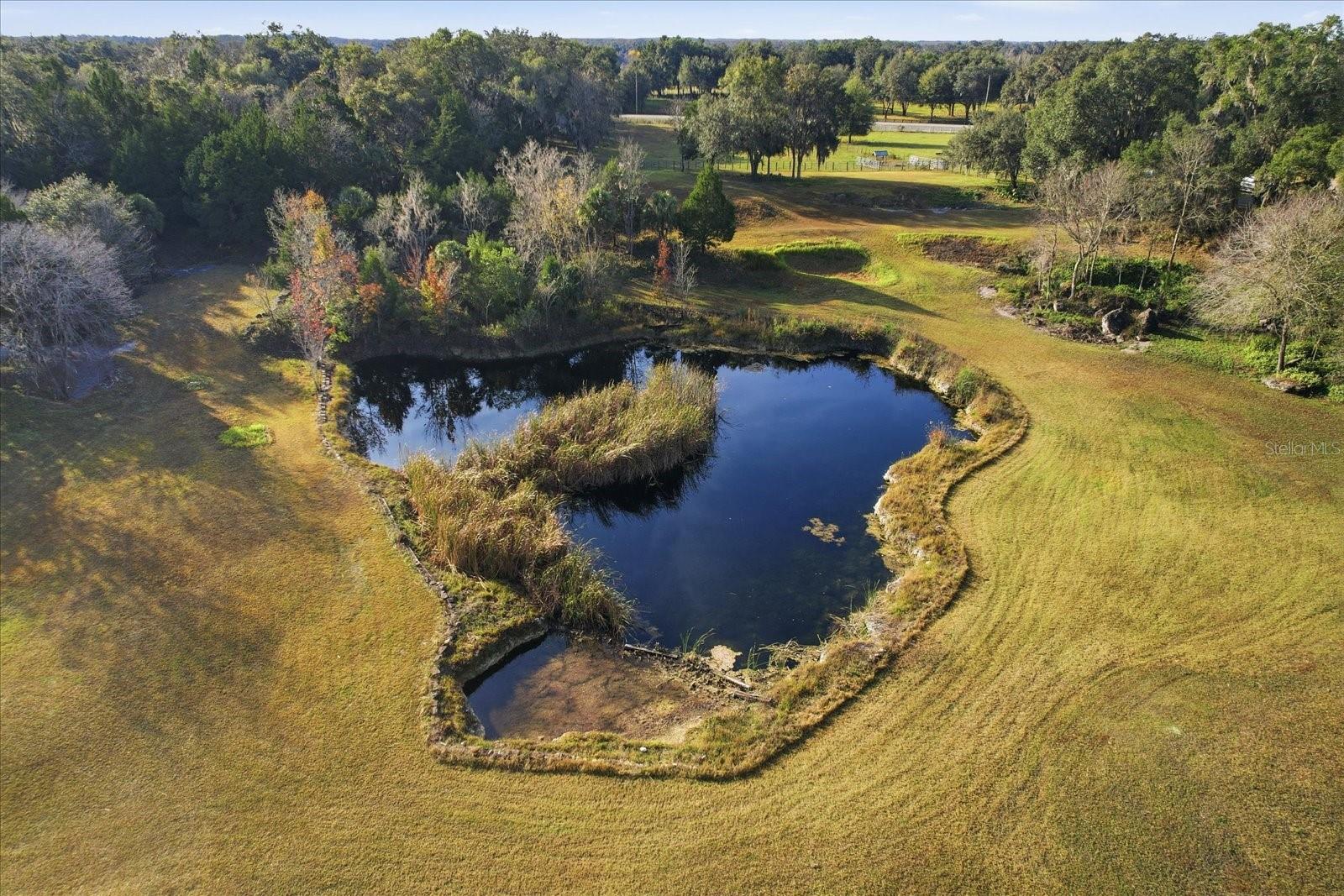 Image 30 of 42 For 8792 Steed Terrace