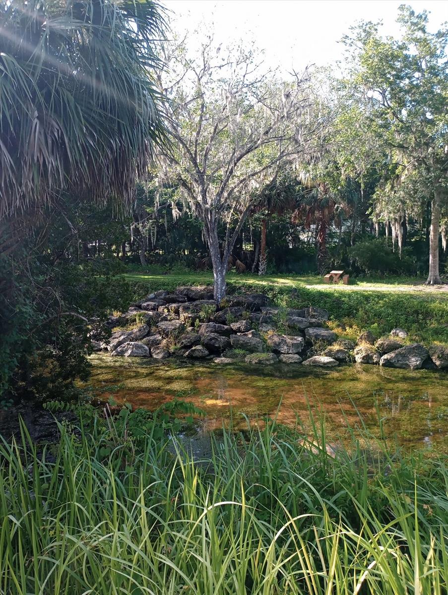 Image 41 of 42 For 8792 Steed Terrace