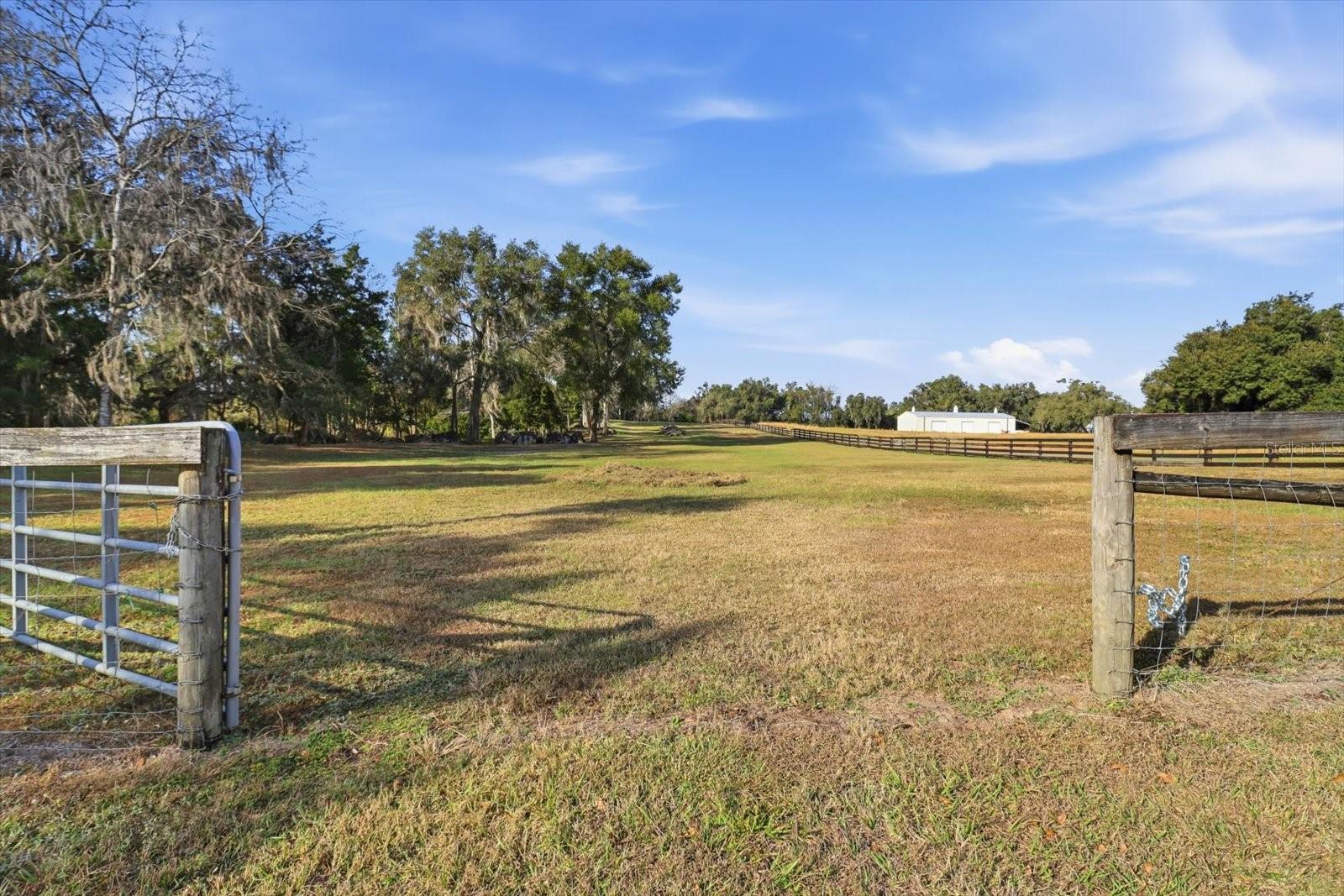 Image 7 of 42 For 8792 Steed Terrace