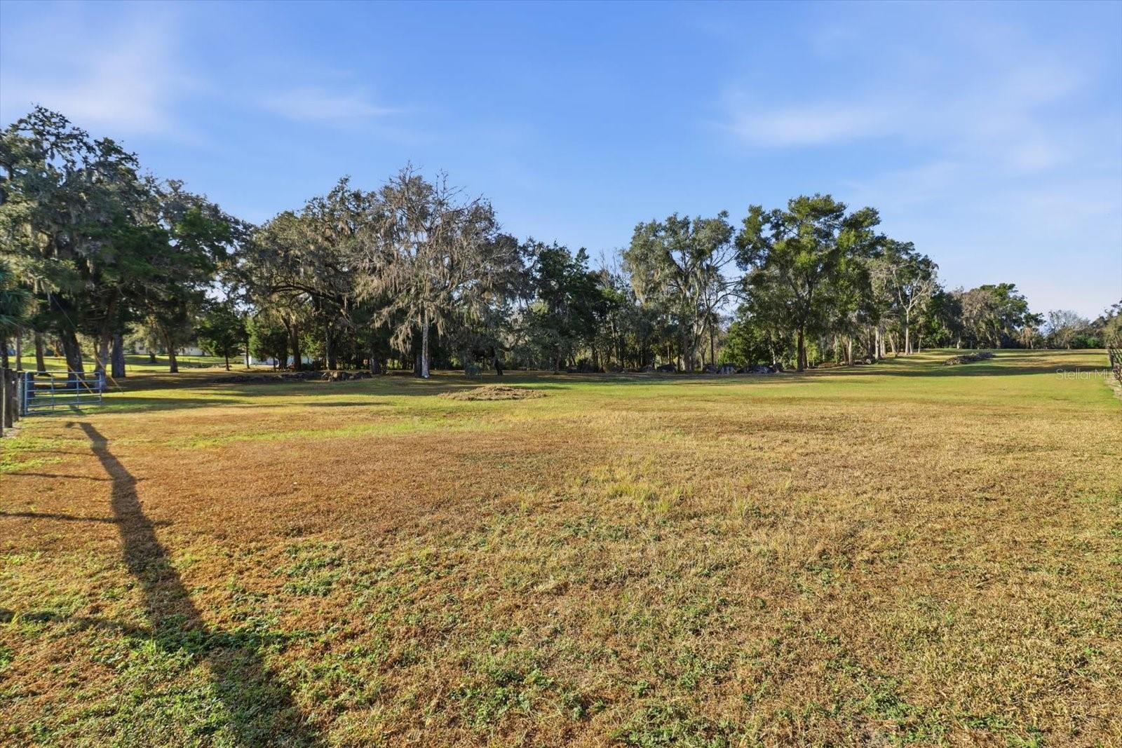 Image 8 of 42 For 8792 Steed Terrace