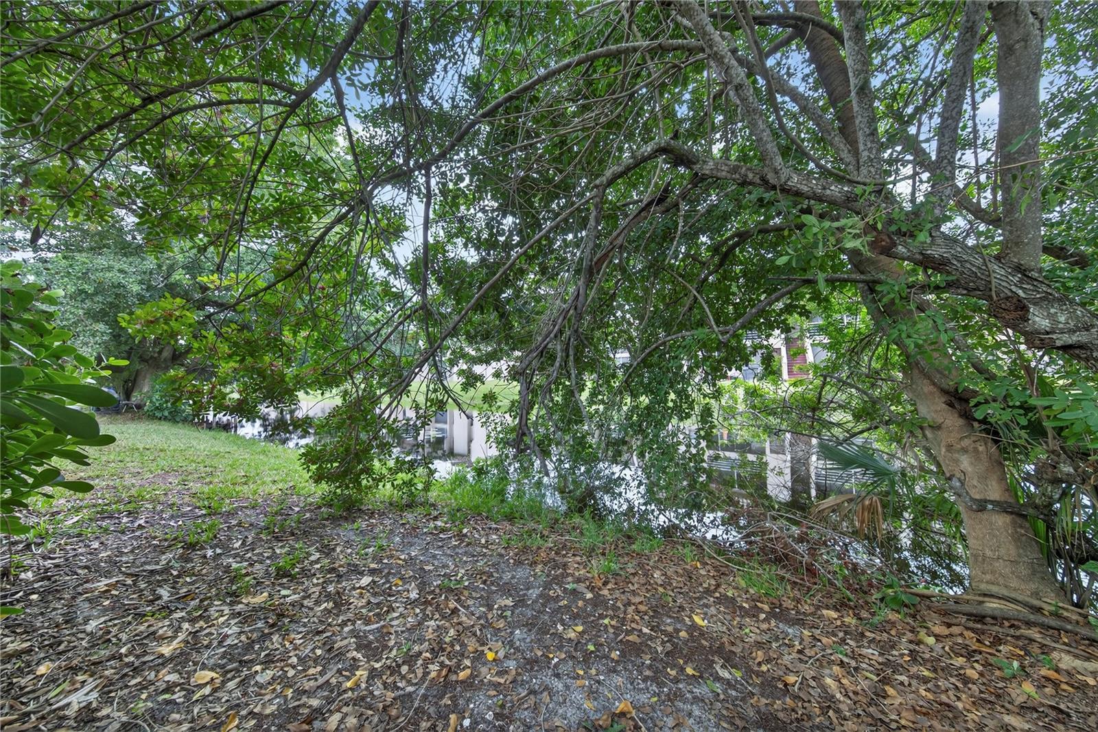 Image 62 of 62 For 3002 103 Lane