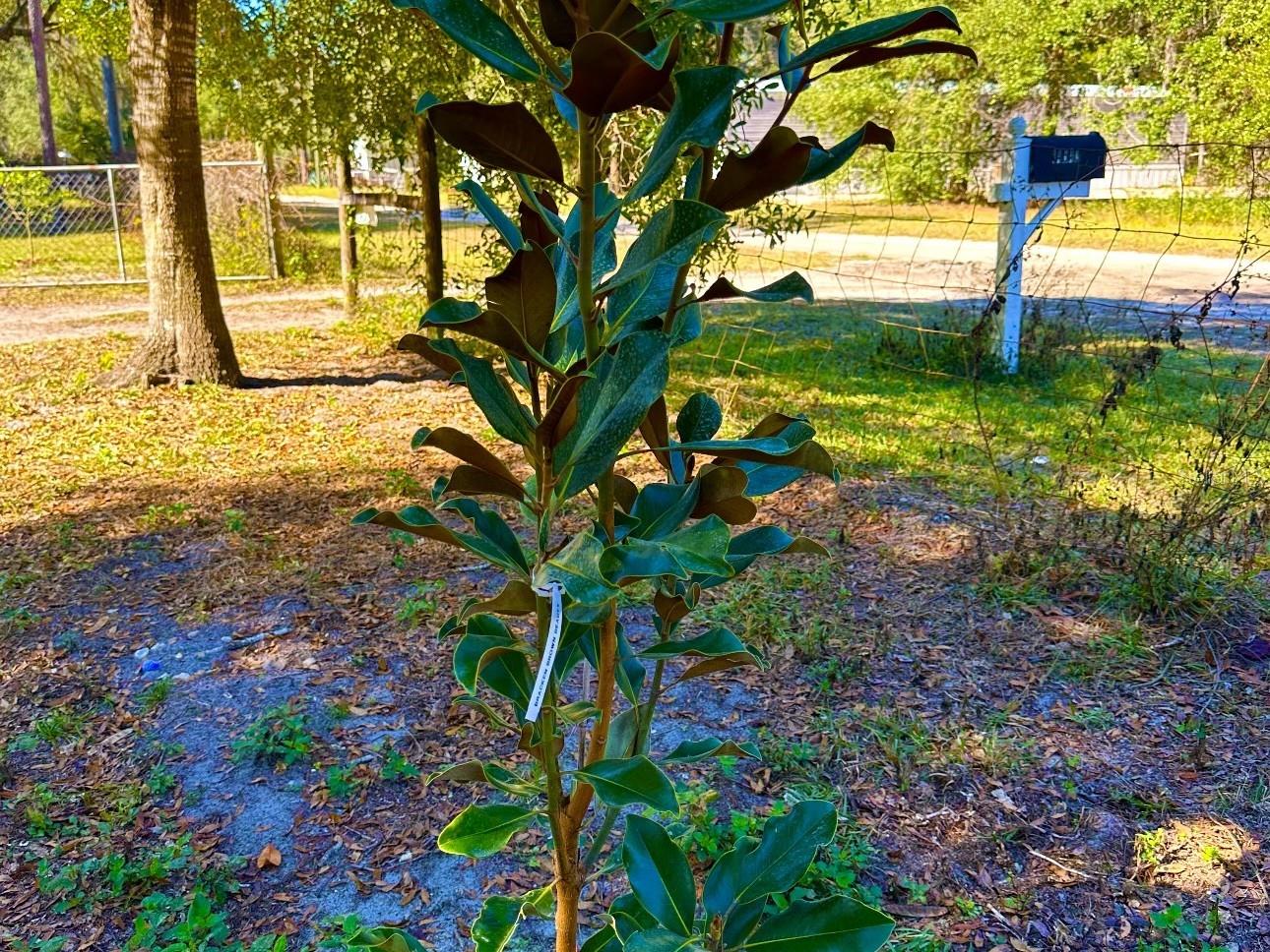 Image 23 of 24 For 14640 149th Lane