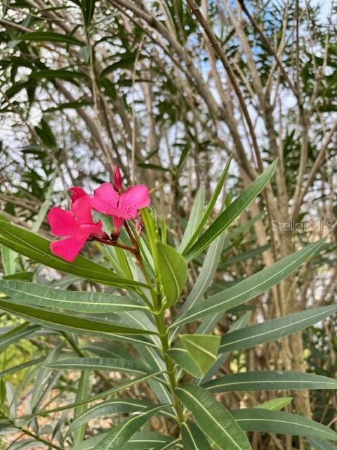 Image 56 of 72 For 8955 118th Lane