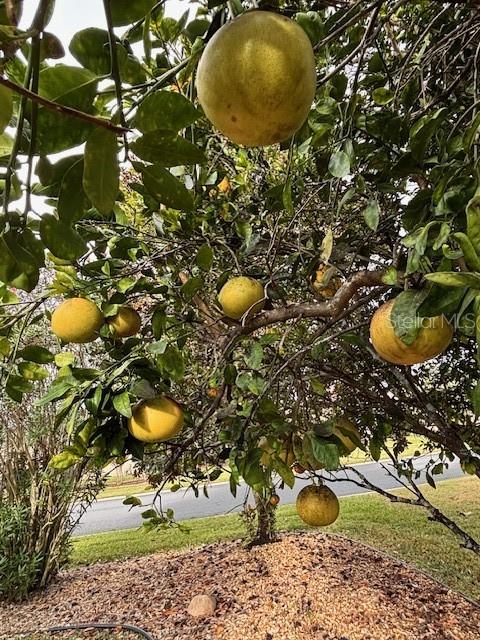 Image 57 of 72 For 8955 118th Lane